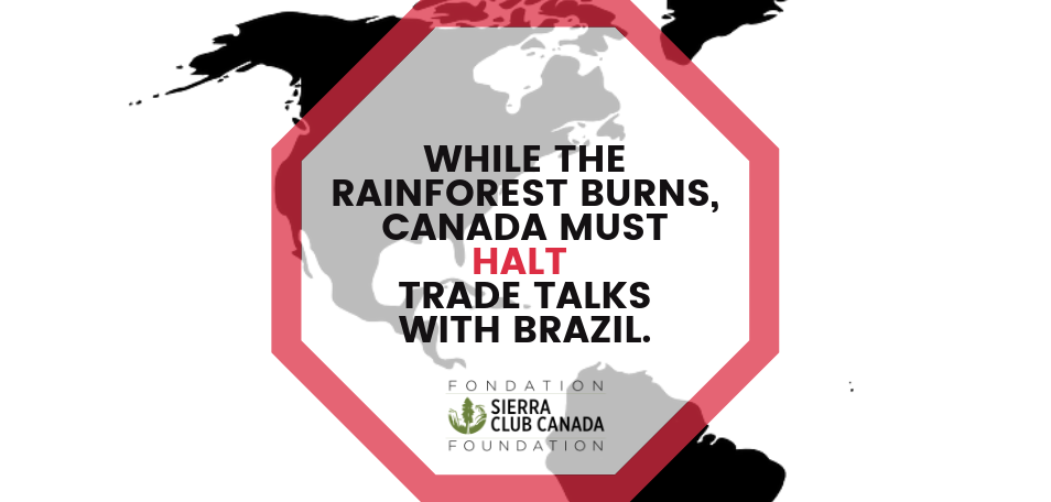 WHILE THE RAINFOREST BURNS, CANADA MUST HALT TRADE TALKS WITH BRAZIL. WHILE THE RAINFOREST BURNS, CANADA MUST HALT TRADE TALKS WITH BRAZIL.