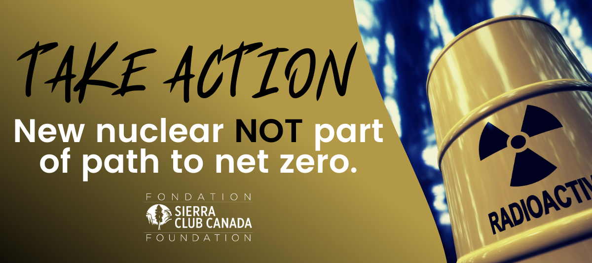 New nuclear is NOT part of the path to net zero. New nuclear is NOT part of the path to net zero.