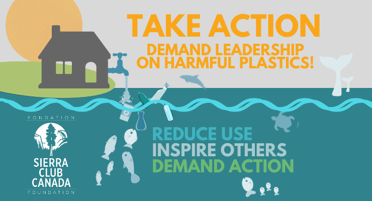 Stop Plastic Pollution In Its Tracks Stop Plastic Pollution In Its Tracks