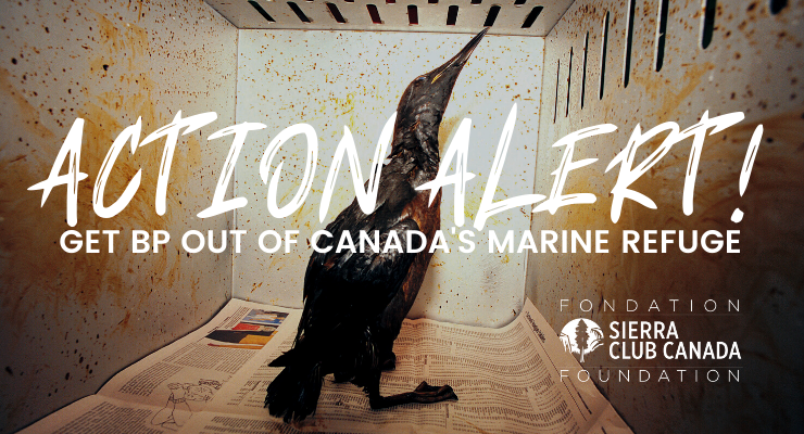 TAKE ACTION - Ministers, You Need to Get BP Out of Canada's Marine Refuge TAKE ACTION - Ministers, You Need to Get BP Out of Canada's Marine Refuge