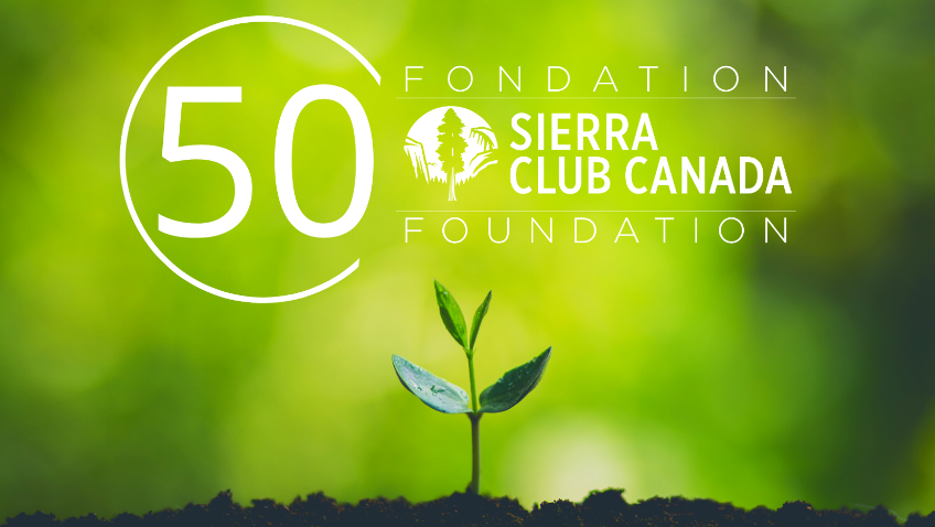50 Years of Sierra Club Canada