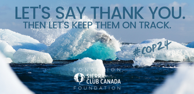 Let's say thank you. The let's keep them on track. #COP24