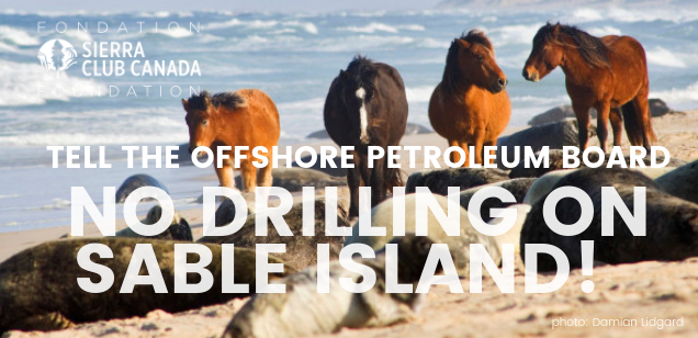 Tell the Offshore Petroleum Board No Drilling on Sable Island. Tell the Offshore Petroleum Board No Drilling on Sable Island.