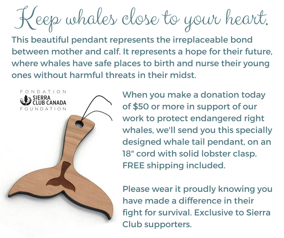 Keep whales close to your heart.