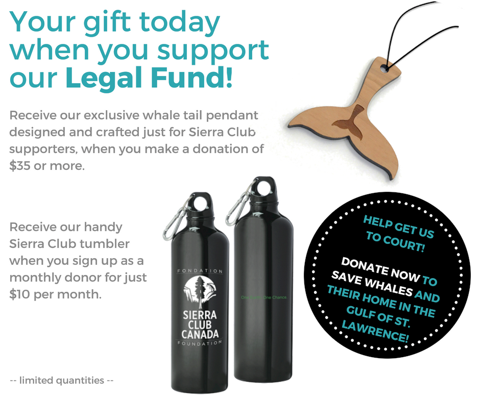 Your gift today when you support our Legal Fund.