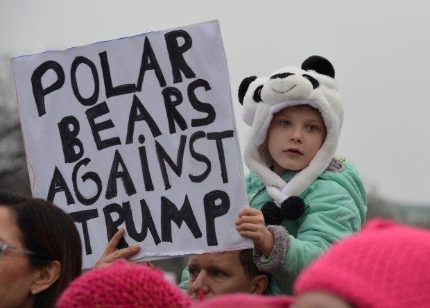 Polar bears against Rump image